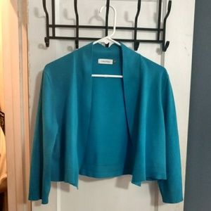 Calvin Klein Bolerro sweater